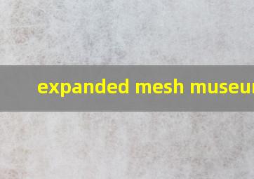  expanded mesh museum